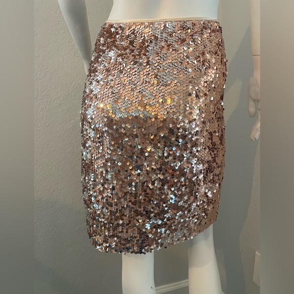 Gorgeous sequin skirt by Boston Proper - Picture 3 of 6